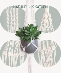 Gadgy Plantenhanger Macramé 3 Stuks - Luxe Gevlochten Touw Katoen - Plantenpot Ophangen - Hangpot -Tuinmeubelseries Winkel 1000x1200 8