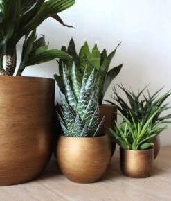 Capi Europe - Bloempot Bol Retro - 23x21 - Goud - Bloempot Voor Binnen - BRTG134 -Tuinmeubelseries Winkel 1023x1200