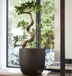 Capi Europe - Bloempot Bol Smooth NL - 43x41 - Zwart - Voor Binnen En Buiten - KBL933 -Tuinmeubelseries Winkel 1132x1200 13