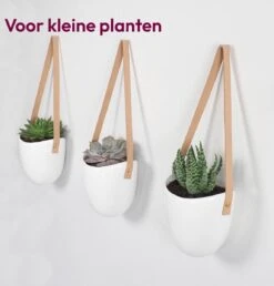 Gadgy Plantenhanger Keramiek - Set Van 3 - Hangpot Van Wit Steen - Hangende Bloempot Plantenpot - Met 3 Verschillende Koorden - 12x11x9.5CM -Tuinmeubelseries Winkel 1149x1200 7