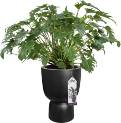 Elho Pure Coupe 41 - Bloempot Voor Binnen & Buiten - Ø 41.3 X H 57.9 Cm - Zwart/Zwart -Tuinmeubelseries Winkel 1181x1200 4