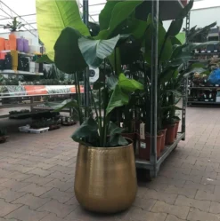 Gina Da Bloempot Karakter Goud - XL -Tuinmeubelseries Winkel 1191x1200 9