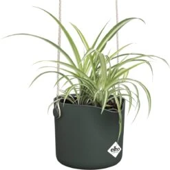 Elho B.for Swing 18 Hangpot - Bloempot Voor Binnen - Ø 18.0 X H 16.5 Cm - Groen/Blad Groen -Tuinmeubelseries Winkel 1193x1200 13