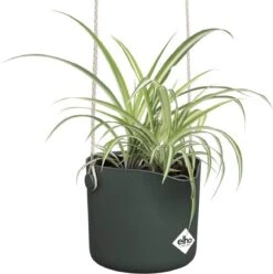 Elho B.for Swing 18 Hangpot - Bloempot Voor Binnen - Ø 18.0 X H 16.5 Cm - Groen/Blad Groen -Tuinmeubelseries Winkel 1193x1200 14
