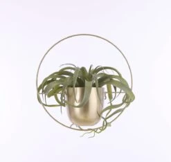 Mica Decorations Dexter Bloempot Wand - L34 X B14 X H34 Cm - Goud -Tuinmeubelseries Winkel 1200x1137 6