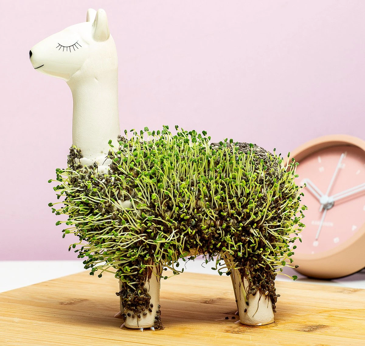 Gift Republic Lama Bloempot Met Zaadjes Gift Republic Lama Bloempot Met Zaadjes -Tuinmeubelseries Winkel 1200x1137 7