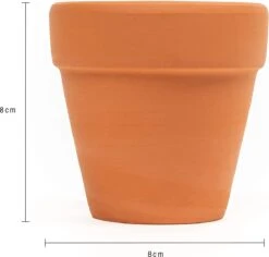 Garden Mania - 12 Mini Terracotta Keramische Klei Bloempotten Met Afvoergat, 8cm 5 Garden Mania - 12 Mini Terracotta Keramische Klei Bloempotten Met Afvoergat, 8cm -Tuinmeubelseries Winkel 1200x1146 11