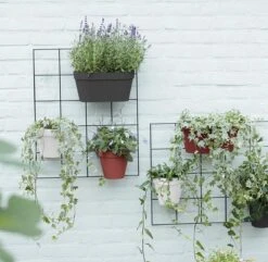 Elho Loft Urban Green Wall Rek 48 - Accessoires Voor Buiten - Ø 47.3 X H 59.0 Cm - Zwart/Living Black -Tuinmeubelseries Winkel 1200x1173 11