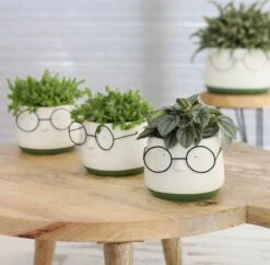 2x Bloempot Met Gezicht - Ø8 X H6,5 Cm - Bloempotten Voor Binnen Met Bril/Face/Hoofd -Tuinmeubelseries Winkel 1200x1178 8