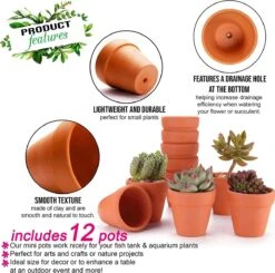 Garden Mania - 12 Mini Terracotta Keramische Klei Bloempotten Met Afvoergat, 8cm 2 Garden Mania - 12 Mini Terracotta Keramische Klei Bloempotten Met Afvoergat, 8cm -Tuinmeubelseries Winkel 1200x1189 14