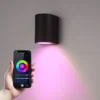 Hoftronic Smart Alvin - Smart LED Wandlamp - WiFi + Bluetooth - Downlight - GU10 5,5 Watt 400lm - RGBWW 16,5 Miljoen Kleuren - Slimme Muurlamp - Geschikt Als Binnen En Buiten Wandlamp - 3 Jaar Garantie