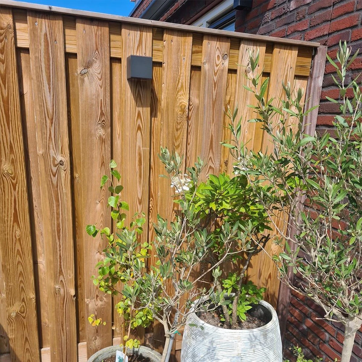 Solar wandlamp buiten 'Sven' recht - Downlight - Warm wit licht - Wandlamp op zonne-energie Solar Wandlamp Buiten 'Sven' Recht - Downlight - Warm Wit Licht - Wandlamp Op Zonne-energie -Tuinmeubelseries Winkel 1200x1200 1387