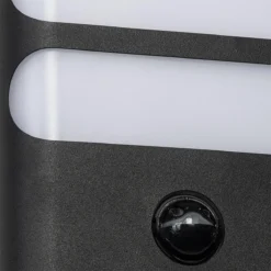 QAZQA Gaev - Moderne LED Wandlamp Met Bewegingsmelder | Bewegingssensor | Sensor Voor Buiten - 1 Lichts - D 5 Cm - Zwart - Buitenverlichting -Tuinmeubelseries Winkel 1200x1200 1552