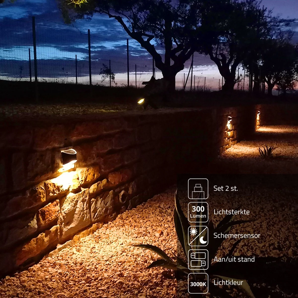 Solar wandlamp 'Quinn' - 2 stuks - Downlight - Wandlamp op zonne-energie Merkloos Solar Wandlamp 'Quinn' - 2 Stuks - Downlight - Wandlamp Op Zonne-energie -Tuinmeubelseries Winkel 1200x1200 1954