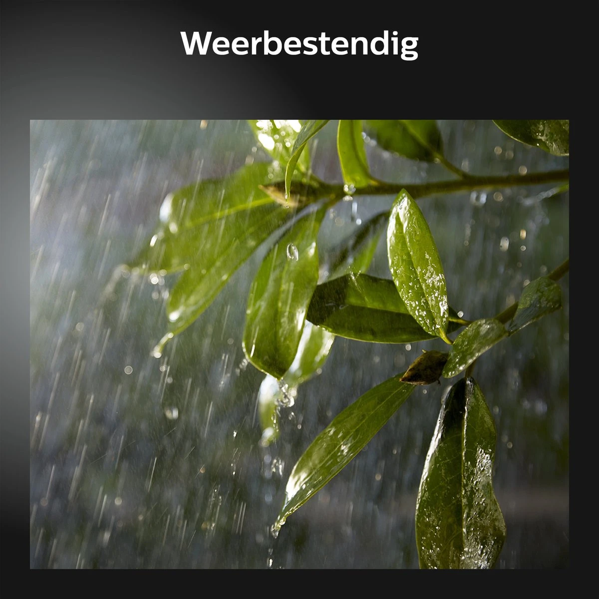 Philips Hue Discover verstraler - wit en gekleurd licht - zwart Philips Hue Discover Verstraler - Wit En Gekleurd Licht - Zwart -Tuinmeubelseries Winkel 1200x1200 2172