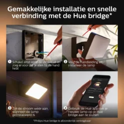 Philips Hue Outdoor Welcome Floodlight Schijnwerper - White - Zwart - 15W - IP44 -Tuinmeubelseries Winkel 1200x1200 2194