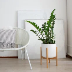 LifeGoods Planten Standaard - Uitschuifbare Bloempothouder - 20 Tot 30 Cm - Licht Bamboe -Tuinmeubelseries Winkel 1200x1200 2503