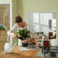 Elho Self-watering Insert 17 - Accessoires Voor Binnenaccessoires - Ø 17.0 X H 15.8 Cm - Zwart/Living Black -Tuinmeubelseries Winkel 1200x1200 2507