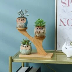 Luxe Bamboe Houten Boom Met 3 Keramiek Uil Bloempotten/Plantenpotten Op Standaard/Voet Voor Binnen En Buiten - Modern Design Bloempot/Plantenpot Op Poten/Pootjes-Plantenbak Mini Cactus Nep Plant Pot Houder - Kleine Bloembakken Plantenrek/Plantenkurk 2 Luxe Bamboe Houten Boom Met 3 Keramiek Uil Bloempotten/Plantenpotten Op Standaard/Voet Voor Binnen En Buiten - Modern Design Bloempot/Plantenpot Op Poten/Pootjes-Plantenbak Mini Cactus Nep Plant Pot Houder - Kleine Bloembakken Plantenrek/Plantenkurk -Tuinmeubelseries Winkel 1200x1200 2535