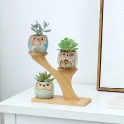 Luxe Bamboe Houten Boom Met 3 Keramiek Uil Bloempotten/Plantenpotten Op Standaard/Voet Voor Binnen En Buiten - Modern Design Bloempot/Plantenpot Op Poten/Pootjes-Plantenbak Mini Cactus Nep Plant Pot Houder - Kleine Bloembakken Plantenrek/Plantenkurk 4 Luxe Bamboe Houten Boom Met 3 Keramiek Uil Bloempotten/Plantenpotten Op Standaard/Voet Voor Binnen En Buiten - Modern Design Bloempot/Plantenpot Op Poten/Pootjes-Plantenbak Mini Cactus Nep Plant Pot Houder - Kleine Bloembakken Plantenrek/Plantenkurk -Tuinmeubelseries Winkel 1200x1200 2536