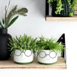 2x Bloempot Met Gezicht - Ø8 X H6,5 Cm - Bloempotten Voor Binnen Met Bril/Face/Hoofd -Tuinmeubelseries Winkel 1200x1200 2549