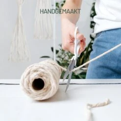 Gadgy Plantenhanger Macramé 3 Stuks - Luxe Gevlochten Touw Katoen - Plantenpot Ophangen - Hangpot -Tuinmeubelseries Winkel 1200x1200 2566