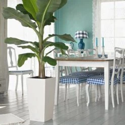 Prosperplast Kunststof Urbi Bloempot/plantenpot Met Binnenpot Wit 32 X 32 X 61 Cm - 21/49 Liter - Hoge Vierkante Bloempotten -Tuinmeubelseries Winkel 1200x1200 2606