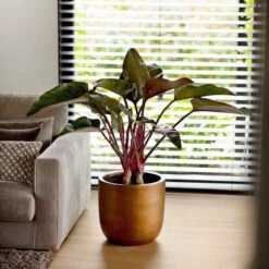 Capi Europe - Bloempot Bol Retro - 23x21 - Goud - Bloempot Voor Binnen - BRTG134 -Tuinmeubelseries Winkel 1200x1200 2612