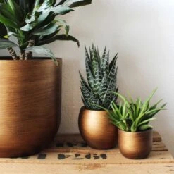 Capi Europe - Bloempot Bol Retro - 23x21 - Goud - Bloempot Voor Binnen - BRTG134 -Tuinmeubelseries Winkel 1200x1200 2613