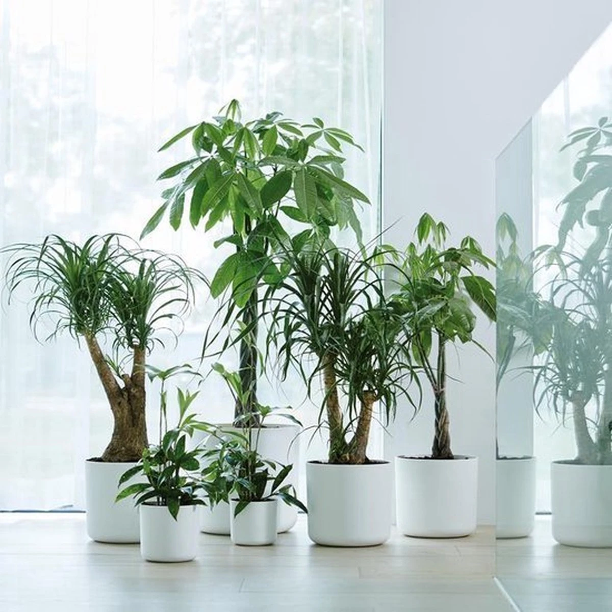 Elho B.for Soft Rond 30 - Bloempot voor Binnen - Ø 29.5 x H 27.6 cm - Wit Elho B.for Soft Rond 30 - Bloempot Voor Binnen - Ø 29.5 X H 27.6 Cm - Wit -Tuinmeubelseries Winkel 1200x1200 2626