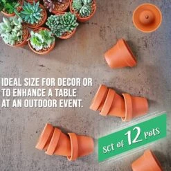 Garden Mania - 12 Mini Terracotta Keramische Klei Bloempotten Met Afvoergat, 8cm 4 Garden Mania - 12 Mini Terracotta Keramische Klei Bloempotten Met Afvoergat, 8cm -Tuinmeubelseries Winkel 1200x1200 2632