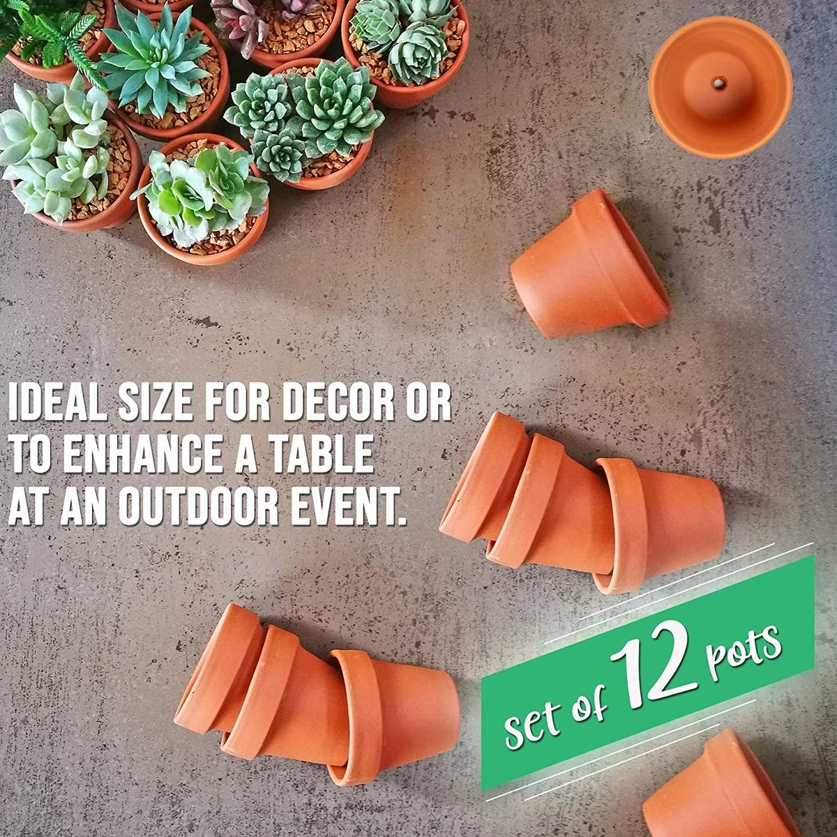 Garden Mania - 12 Mini terracotta keramische klei bloempotten met afvoergat, 8cm Garden Mania - 12 Mini Terracotta Keramische Klei Bloempotten Met Afvoergat, 8cm -Tuinmeubelseries Winkel 1200x1200 2632