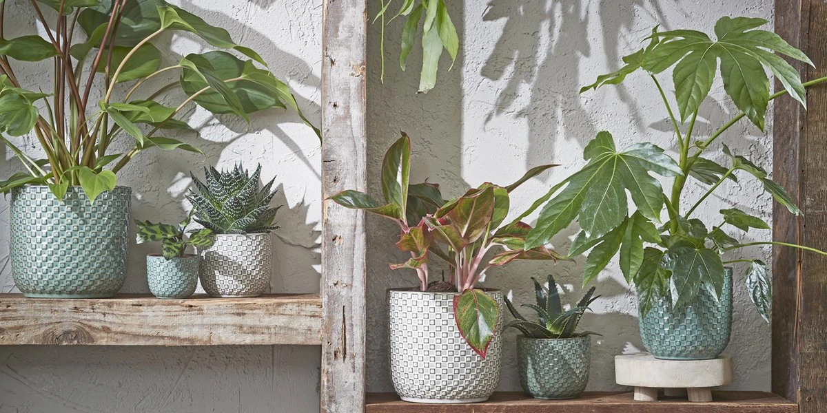 Mica Decorations Daan Bloempot - H17,5 x Ø19 cm - Groen Mica Decorations Daan Bloempot - H17,5 X Ø19 Cm - Groen -Tuinmeubelseries Winkel 1200x600 5