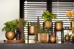 Capi Europe - Bloempot Bol Retro - 23x21 - Goud - Bloempot Voor Binnen - BRTG134 -Tuinmeubelseries Winkel 1200x795 6