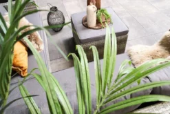 Fonteyn | Loungeset Connor | Melange -Tuinmeubelseries Winkel 1200x800 297