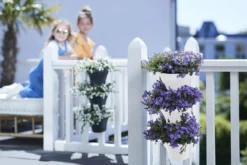 Elho Corsica Vertical Forest 24 - Bloempot Voor Balkonbuiten - Ø 26.7 X H 29.7 Cm - Wit/Wit 5 Elho Corsica Vertical Forest 24 - Bloempot Voor Balkonbuiten - Ø 26.7 X H 29.7 Cm - Wit/Wit -Tuinmeubelseries Winkel 1200x800 397