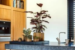 Capi Europe - Vaas Bol Groove XL - 39x33 - Goud - Bloempot Voor Binnen - Opening ⌀24 - GVGB270 -Tuinmeubelseries Winkel 1200x800 403