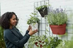 Elho Loft Urban Green Wall Rek 48 - Accessoires Voor Buiten - Ø 47.3 X H 59.0 Cm - Zwart/Living Black -Tuinmeubelseries Winkel 1200x800 404