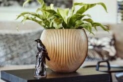 Capi Europe - Vaas Bol Groove XL - 63x51 - Goud - Bloempot Voor Binnen - Opening ⌀42 - GVGB271 -Tuinmeubelseries Winkel 1200x800 408