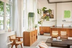 Elho B.for Swing 18 Hangpot - Bloempot Voor Binnen - Ø 18.0 X H 16.5 Cm - Groen/Blad Groen -Tuinmeubelseries Winkel 1200x800 412