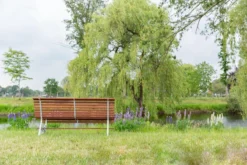 MaximaVida Tuinbank Budapest Oil 170 Cm - Uit Exclusief Mahoniehout -Tuinmeubelseries Winkel 1200x800 68