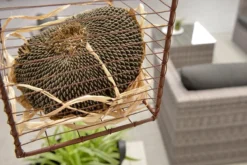 Garden Impressions Montana Loungeset - Organic Grey 6 Garden Impressions Montana Loungeset - Organic Grey -Tuinmeubelseries Winkel 1200x801 11