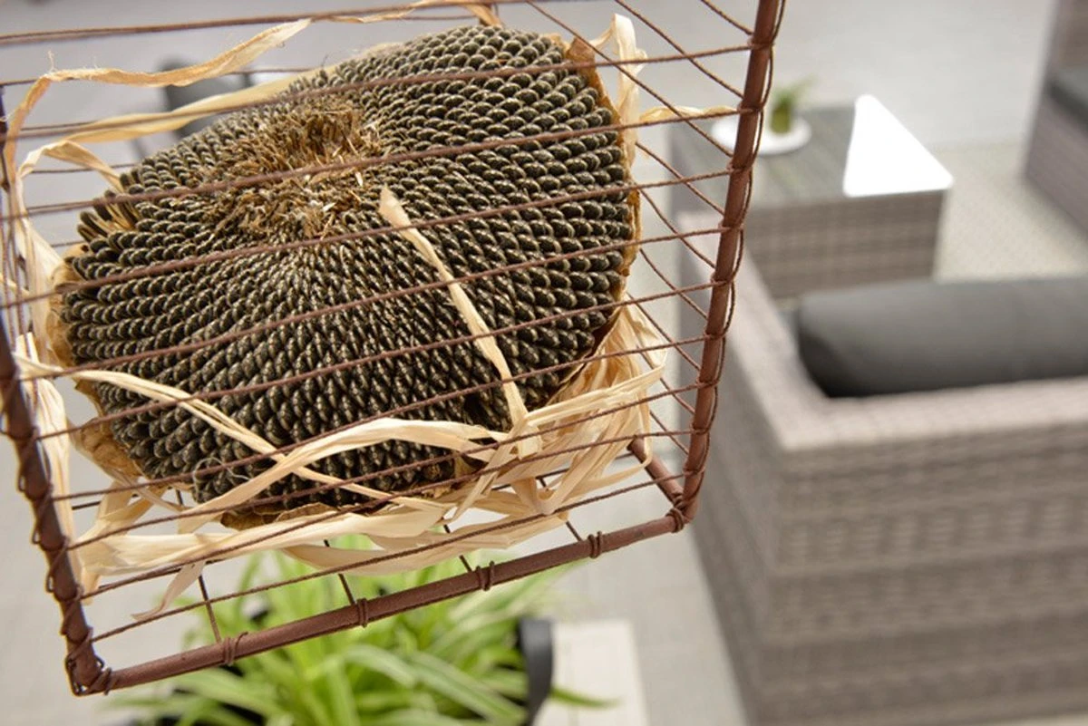 Garden Impressions Montana loungeset - Organic grey Garden Impressions Montana Loungeset - Organic Grey -Tuinmeubelseries Winkel 1200x801 11