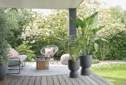 Elho Pure Coupe 41 - Bloempot Voor Binnen & Buiten - Ø 41.3 X H 57.9 Cm - Zwart/Zwart -Tuinmeubelseries Winkel 1200x805 10