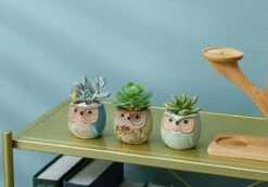 Luxe Bamboe Houten Boom Met 3 Keramiek Uil Bloempotten/Plantenpotten Op Standaard/Voet Voor Binnen En Buiten - Modern Design Bloempot/Plantenpot Op Poten/Pootjes-Plantenbak Mini Cactus Nep Plant Pot Houder - Kleine Bloembakken Plantenrek/Plantenkurk 3 Luxe Bamboe Houten Boom Met 3 Keramiek Uil Bloempotten/Plantenpotten Op Standaard/Voet Voor Binnen En Buiten - Modern Design Bloempot/Plantenpot Op Poten/Pootjes-Plantenbak Mini Cactus Nep Plant Pot Houder - Kleine Bloembakken Plantenrek/Plantenkurk -Tuinmeubelseries Winkel 1200x840 4