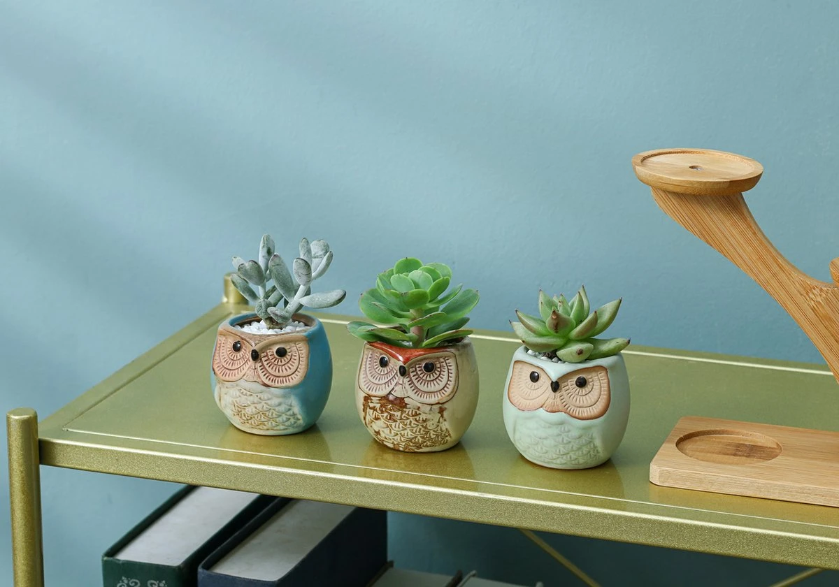 Luxe Bamboe Houten Boom met 3 Keramiek Uil Bloempotten/Plantenpotten op Standaard/Voet voor Binnen en Buiten - Modern Design Bloempot/Plantenpot op Poten/Pootjes-Plantenbak Mini Cactus nep Plant Pot Houder - Kleine Bloembakken Plantenrek/Plantenkurk Luxe Bamboe Houten Boom Met 3 Keramiek Uil Bloempotten/Plantenpotten Op Standaard/Voet Voor Binnen En Buiten - Modern Design Bloempot/Plantenpot Op Poten/Pootjes-Plantenbak Mini Cactus Nep Plant Pot Houder - Kleine Bloembakken Plantenrek/Plantenkurk -Tuinmeubelseries Winkel 1200x840 4