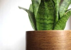 Capi Europe - Bloempot Bol Retro - 23x21 - Goud - Bloempot Voor Binnen - BRTG134 -Tuinmeubelseries Winkel 1200x844 6