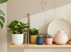 Elho Vibes Fold Rond 30 - Bloempot Voor Binnen - Ø 29.5 X H 27.2 Cm - Zijdewit -Tuinmeubelseries Winkel 1200x879 8