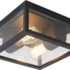 QAZQA Charlois - Design Plafondlamp Voor Buiten - 2 Lichts - L 24 Cm - Zwart - Buitenverlichting