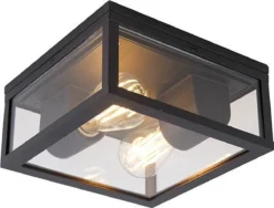 QAZQA Charlois - Design Plafondlamp Voor Buiten - 2 Lichts - L 24 Cm - Zwart - Buitenverlichting